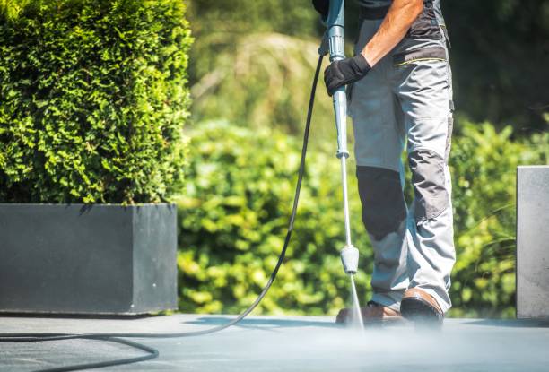 Animal Enclosure Cleaning in Rothsville, PA